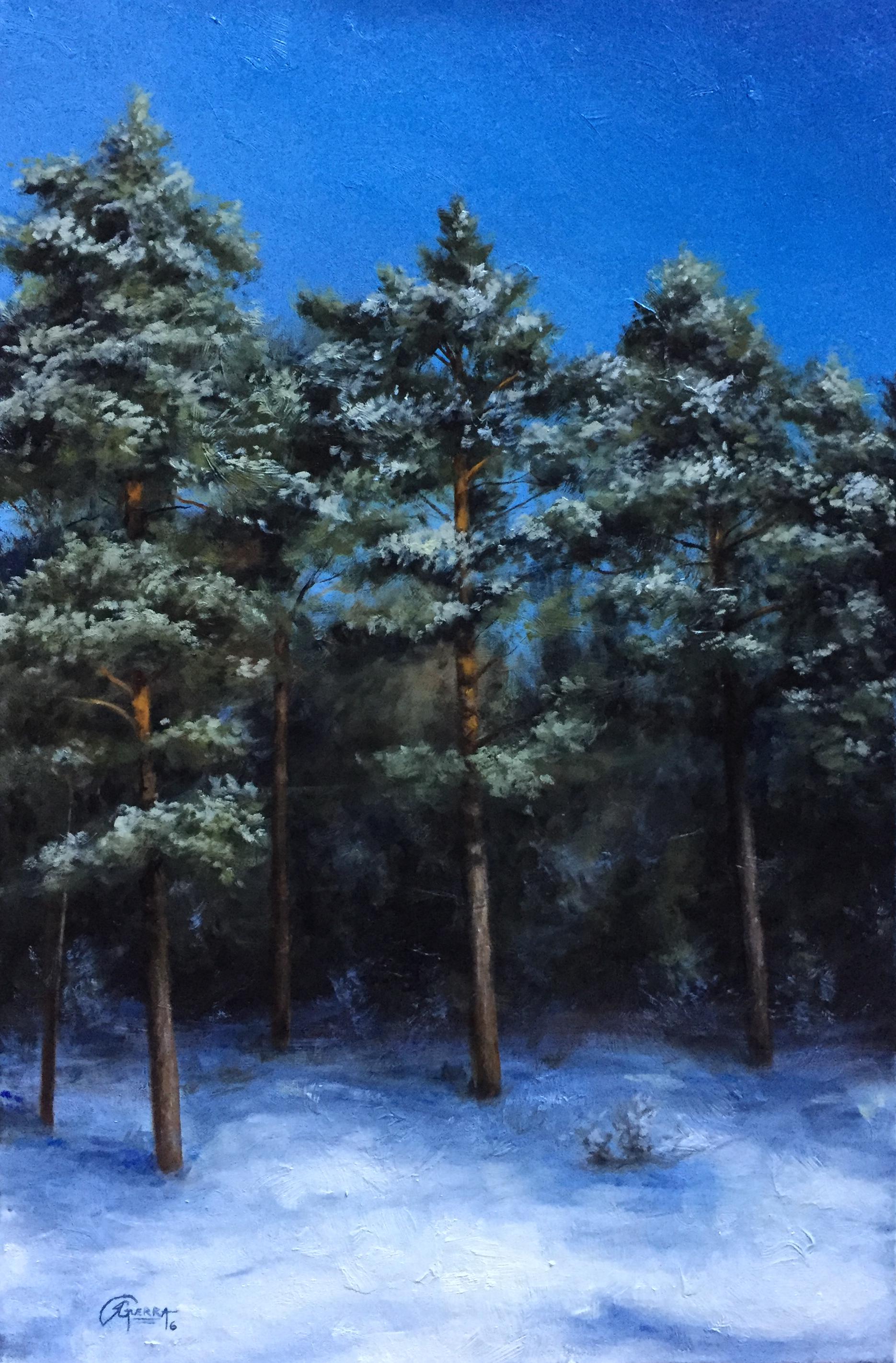 Finnish Pine Trees in Winter, Rafael Guerra