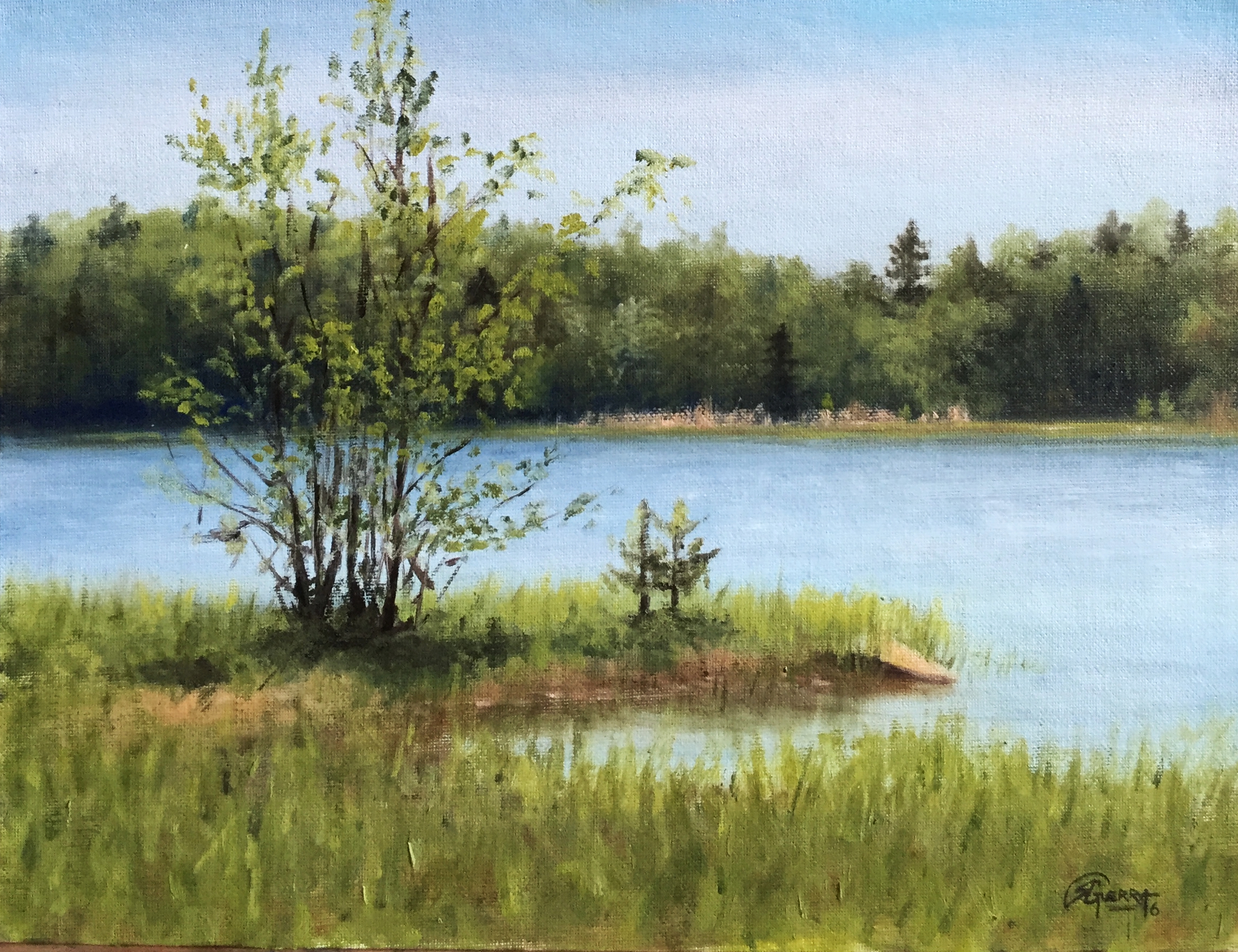Little Island on a Lake in Spring