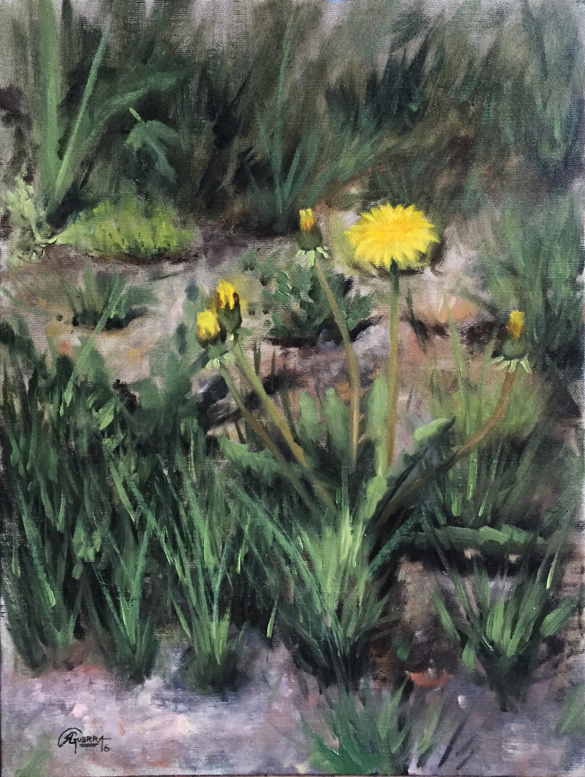 Study of Dandelion Flowers