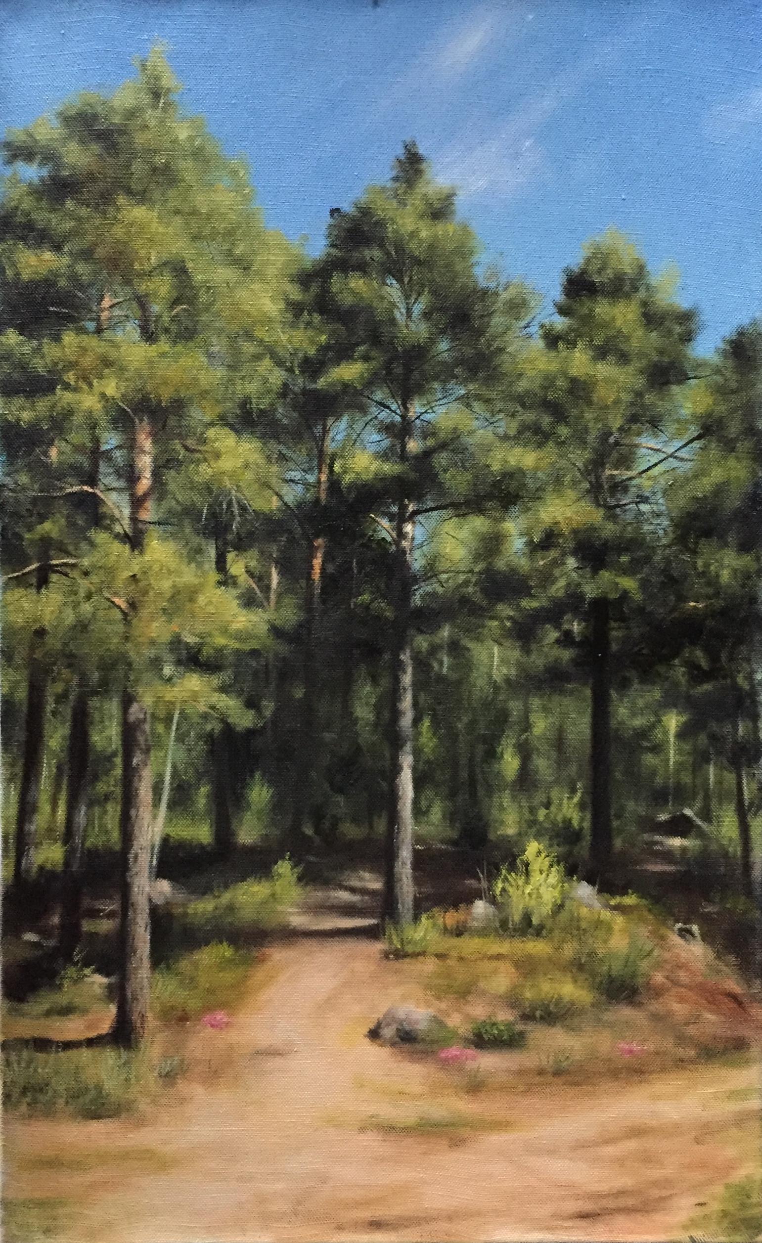 Finnish Pine Trees in Summer, Rafael Guerra