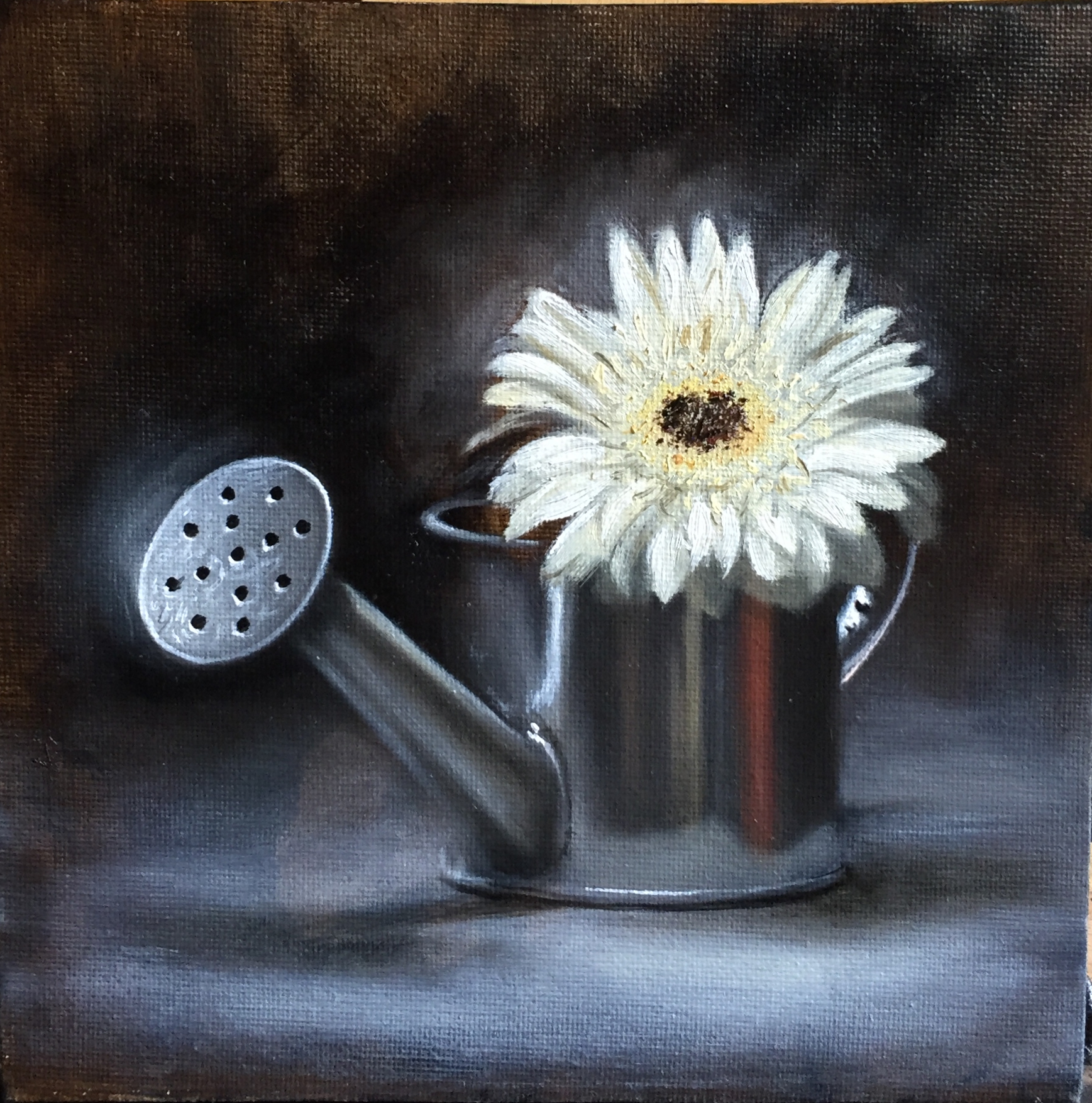 Watering Can and White Flower