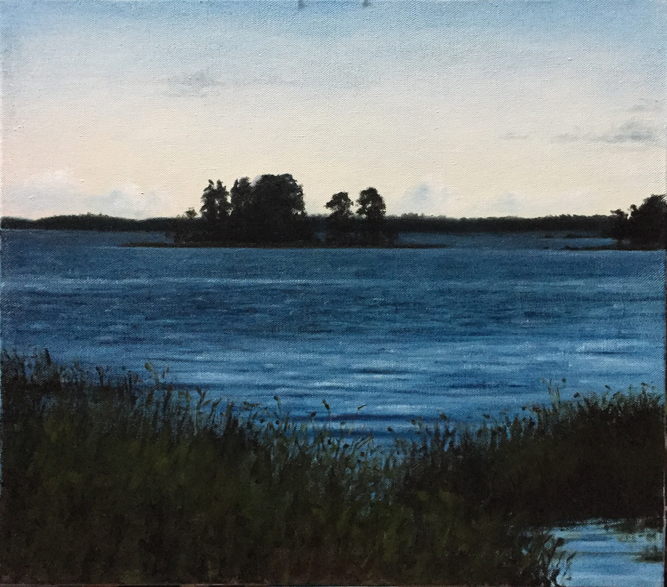 Little Island on a Lake in Finland, Rafael Guerra