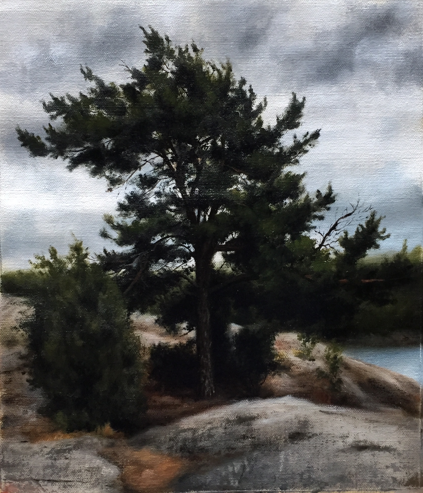 Finnish Scape on a Cloudy Day