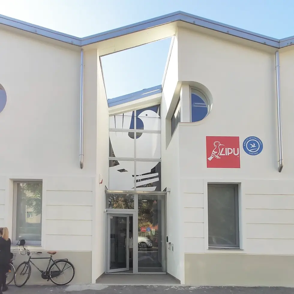 CASA LUPI - Via Pasubio - PR