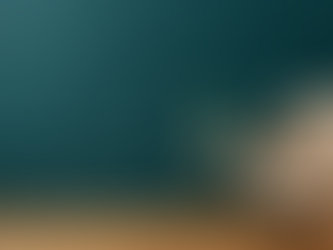 DIY Wall Panelling Guide for Beginners