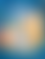 Le bazar bizarre T1 (BD)