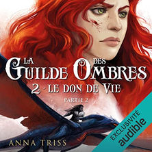 La guilde des ombres T2 - partie 2