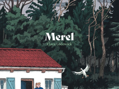 Retour de lecture : Merel (BD)