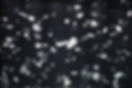 -6495967665962623400_IMG_2085.jpg