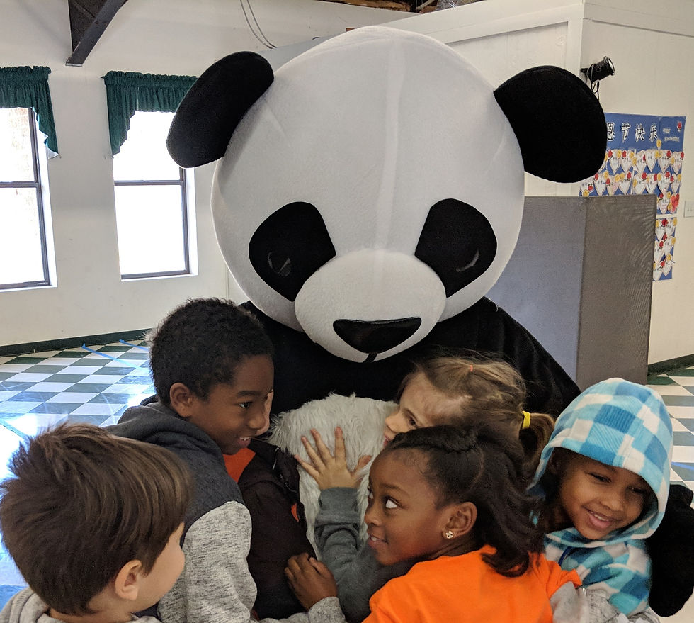 MVIMG_20181130_111317_edited