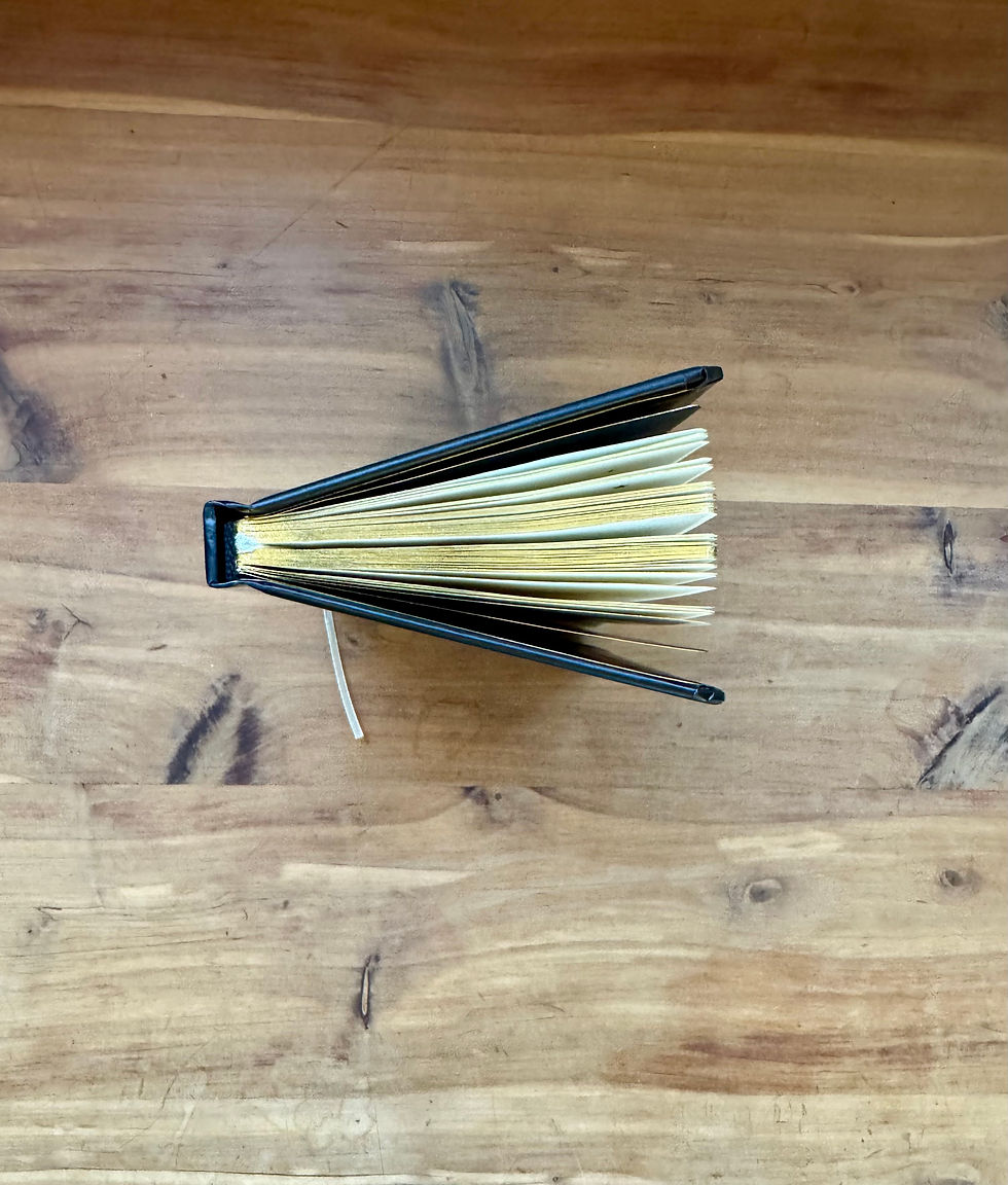 Thumbnail: The Little Book of Magic