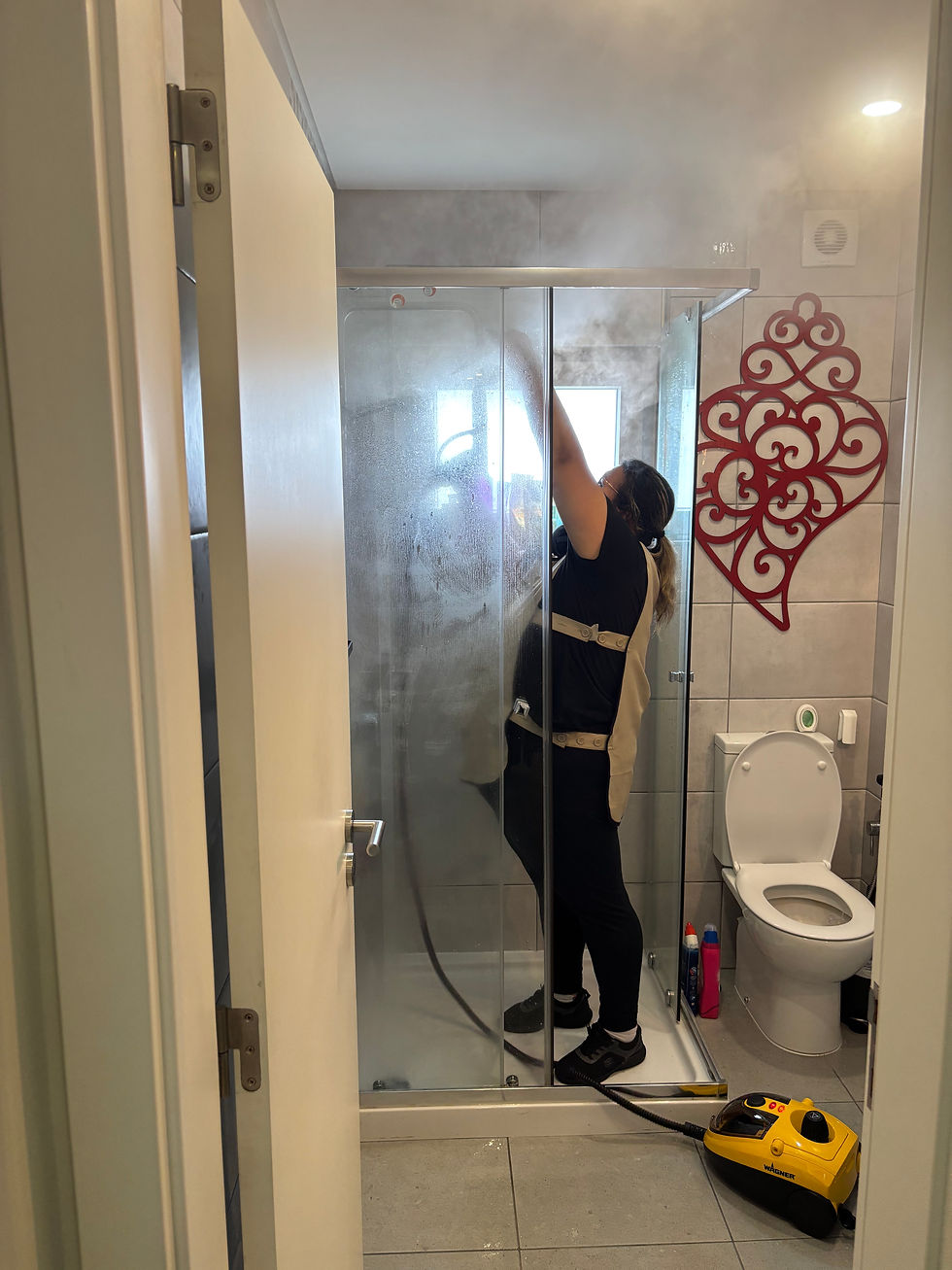 limpeza a vapor setúbal