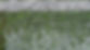 Elitee_Turf_graphics144.jpg