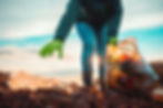 iStock-1303700862.jpg