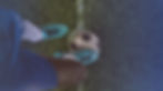 Elitee_Turf_webs87.jpg