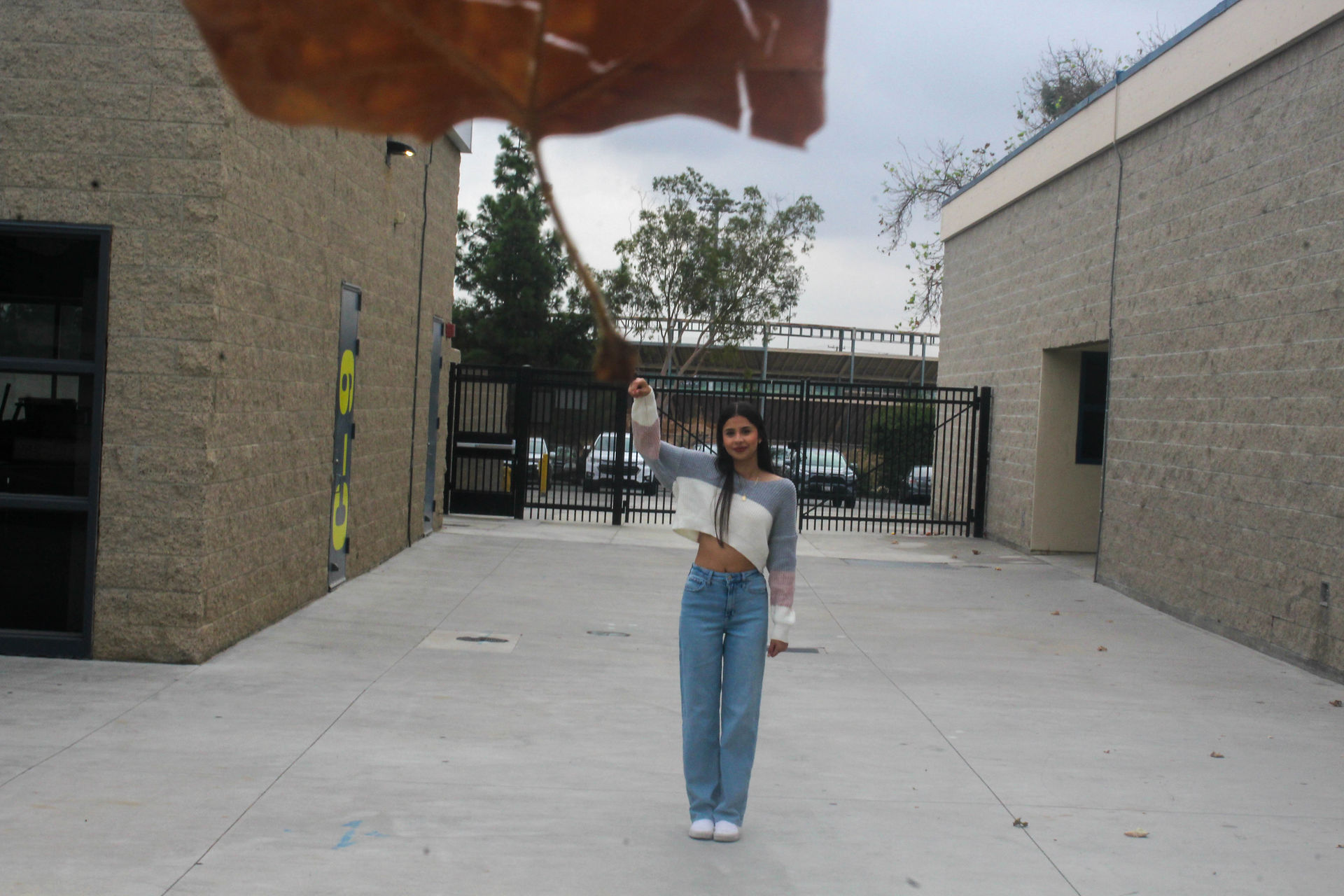 Holding Big Leaf