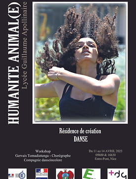 humanité animale workshop.jpg