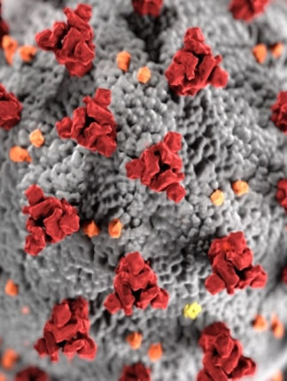 Quarantena tempo di riSCOSSA