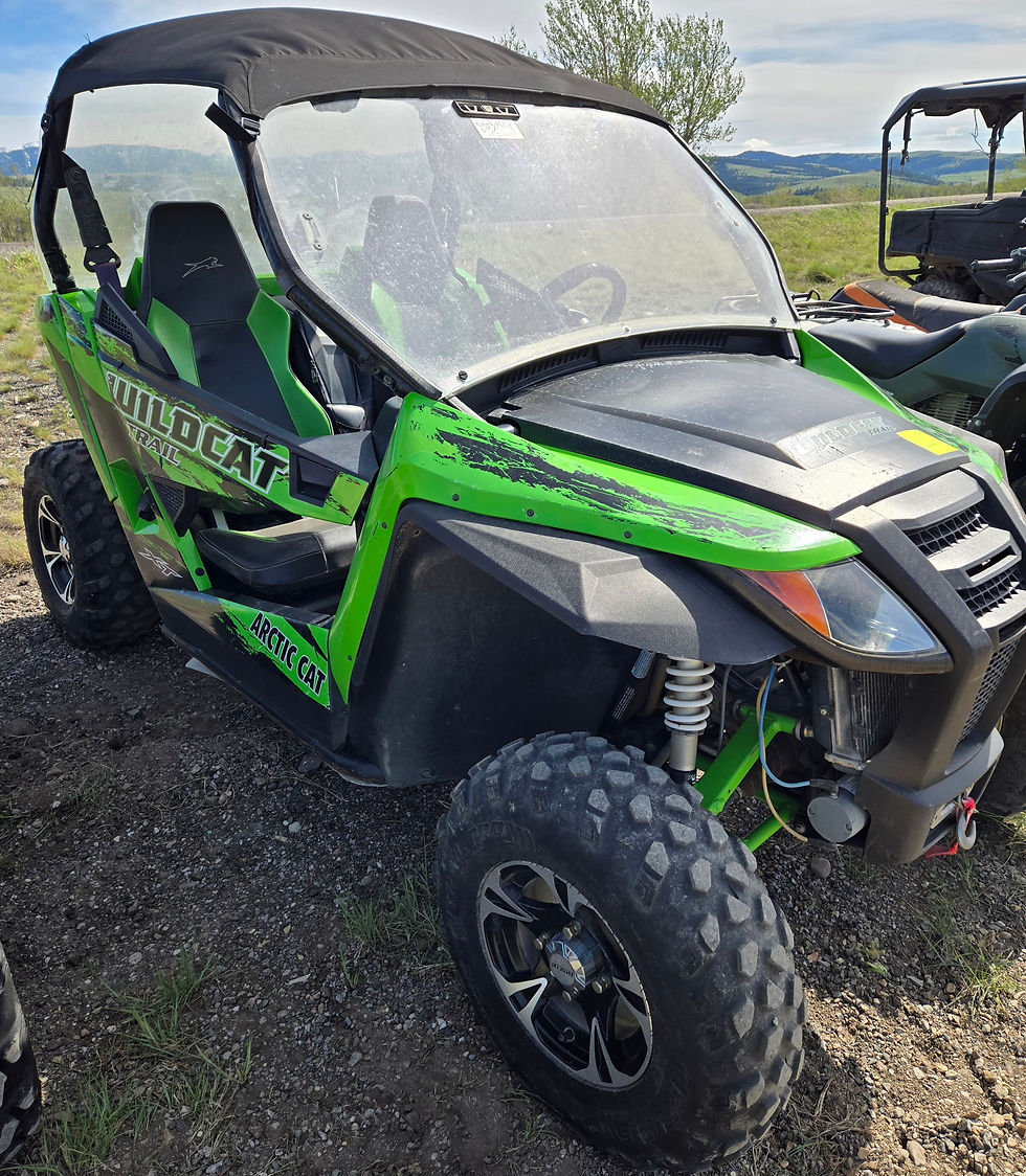 2014 Arctic Cat SXS