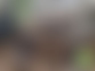 Vargeloğlu Grup ile temelden çatıya inşaat sürecinin tüm aşamalarını öğrenin. Projelendirme, temel, kaba inşaat ve anahtar teslim süreci hakkında detaylı rehber