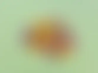 ¿Qué habilidades cognitivas básicas deberías evaluar a la hora de seleccionar talentos?