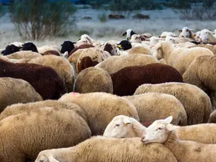 Todo sobre People Analytics: ¿qué es y cómo optimiza tus decisiones?