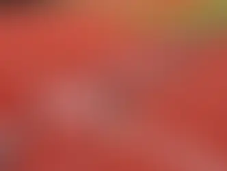 ¿Cómo adaptar la selección e inducción a personas con discapacidad?