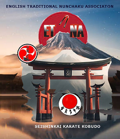 ETNA and SSKI Logo .jpg