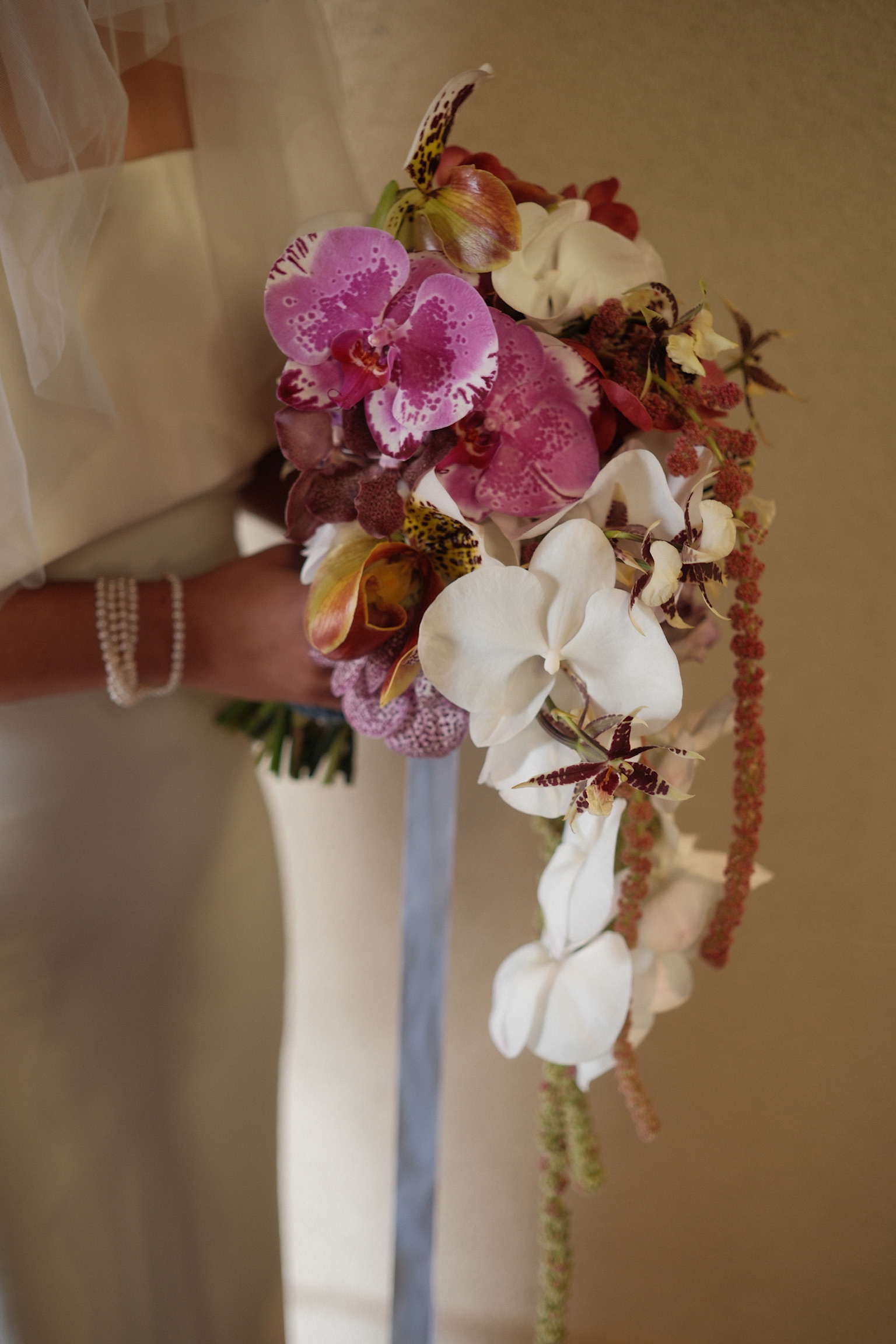 Petal Smith — photo 5 of 14