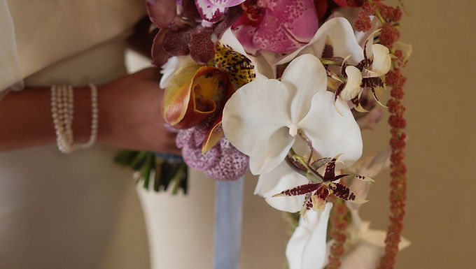 Flowering with Petal Smith