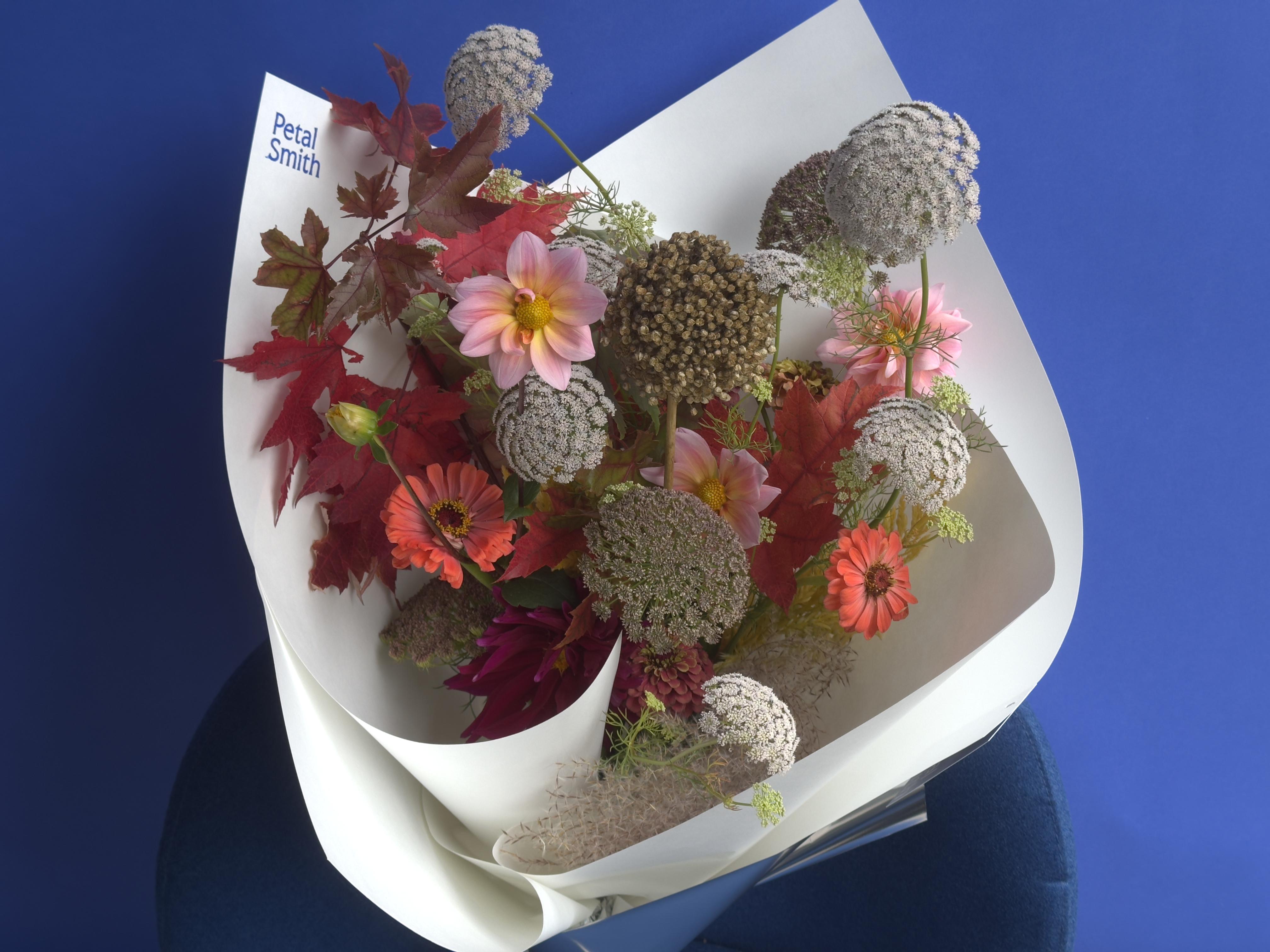 Petal Smith — photo 10 of 14