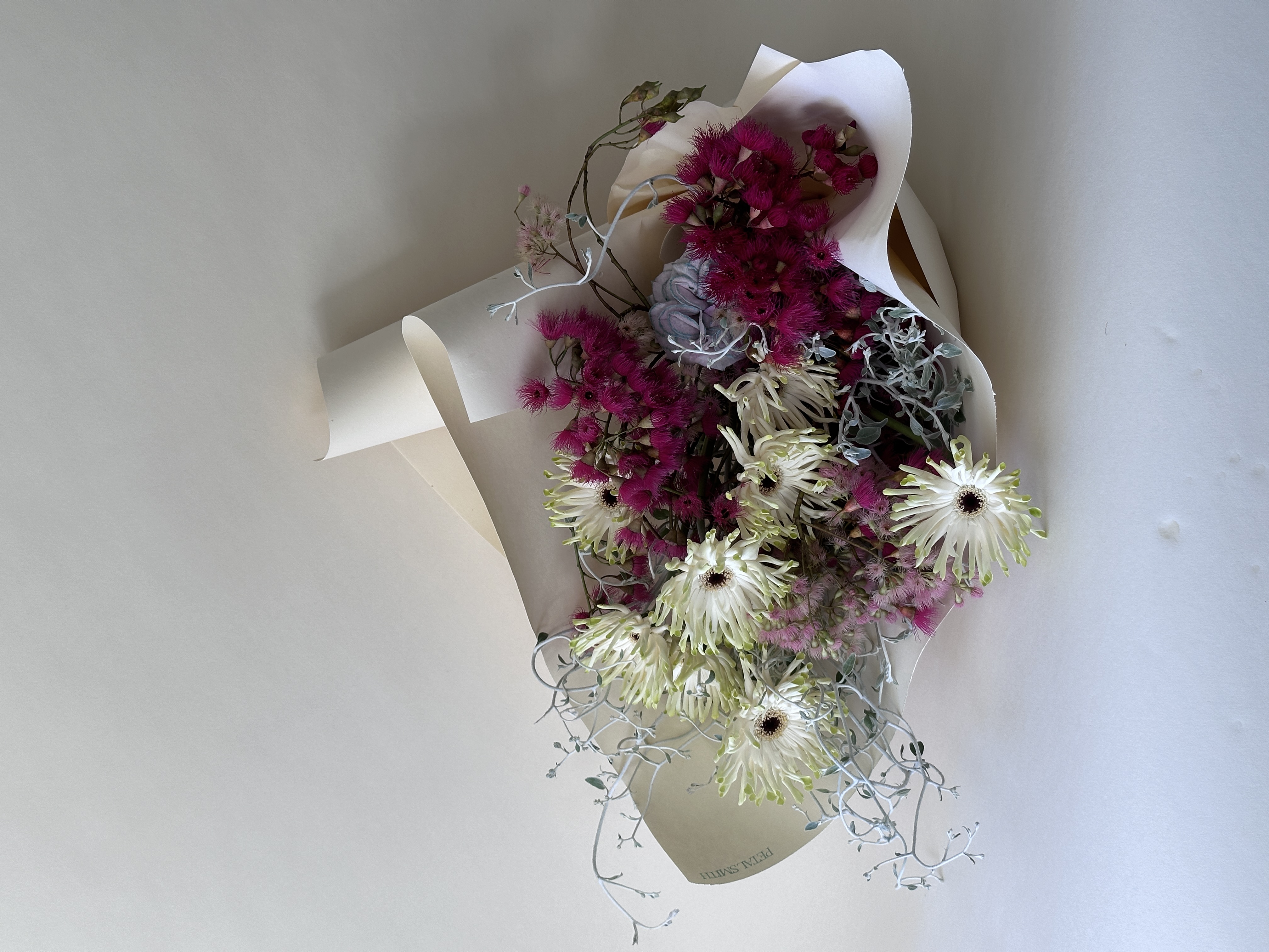 Petal Smith — photo 9 of 14