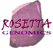 Rosetta Genomics (NASDAQ: ROSG)Â )