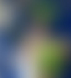 Žalias protas = pergalė! Alizavos pagrindinės mokyklos mokinys – protmūšio nugalėtojas