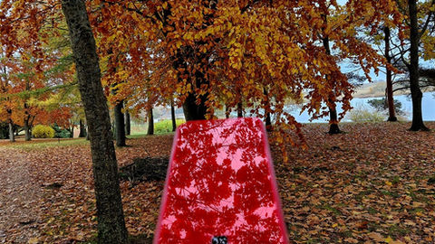 Rudens atspindžiai: žmogus tarp gamtos ir technologijos