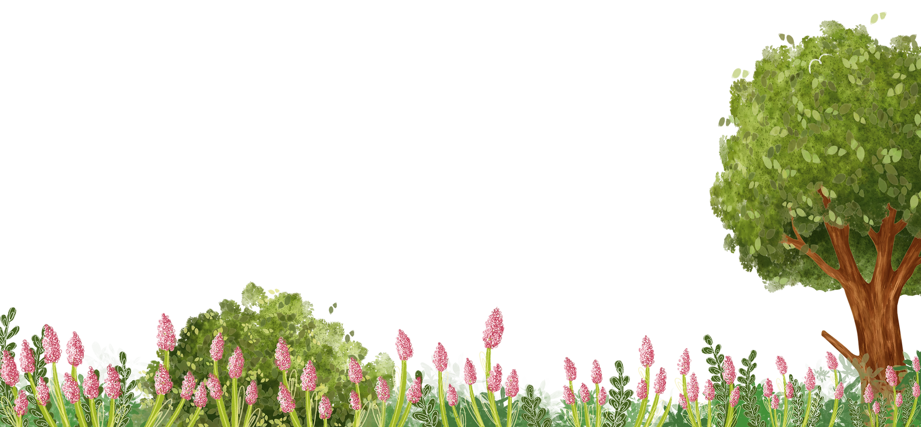 Trees and plants.png