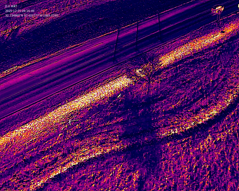 Thermal image of lost pet in Aledo, Texas