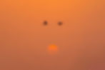 ree