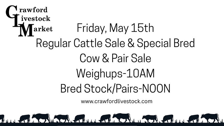 Friday, May 15th Regular Cattle Sale & Special Bred Cow & Pair Sale Weighups-10AM Bred Sto