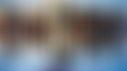 Habilidades dos profissionais de sucesso!