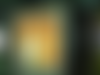 Vidro antichamas, você conhece os benefícios dele?