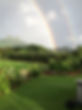 IMG_1701.jpeg