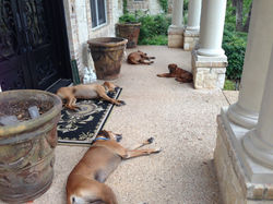 Guarding the Front Door