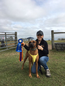 Best of Breed