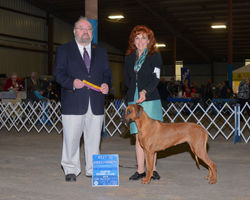 Austin Kennel Club