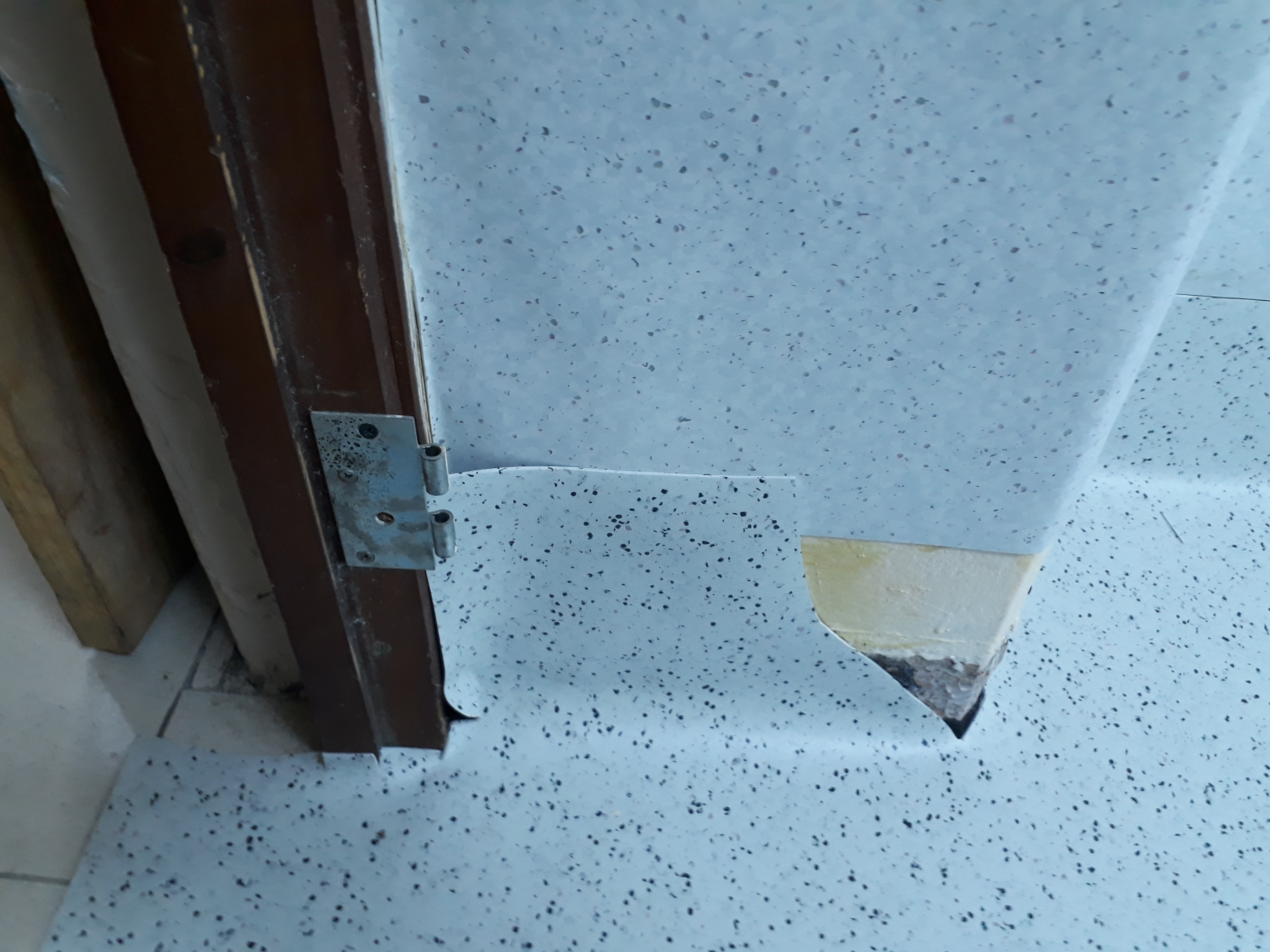 Instituto de Medicina Legal — imagen 5
