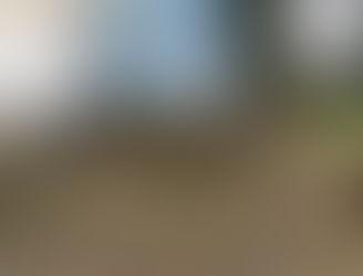 Restoring the Beautiful View from St Stephen’s