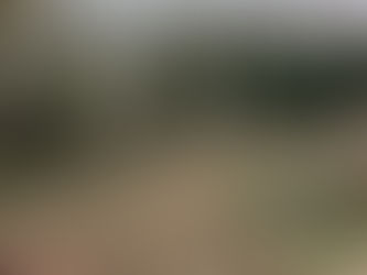 Operation Churchyard – Phase 3