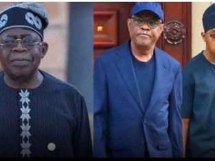 Tinubu orders probe into alleged 2,082-hectare land allocation in Abuja to Wike’s son