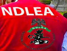 Minister of Education Orders Nationwide Drug Testing for University Students